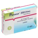 Panacur 250mg Vermifuge Large Spectre pour Chien