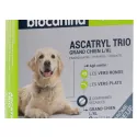 Biocanina Ascatryl Trio Hond tabletten