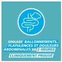 Gavidigest Flatulences et Ballonnement 15 Gélules