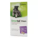 Drontal Chien Vermifuge en comprimés appétants Vetoquinol