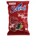 Solens Bonbons Fruits Rouges 100 g